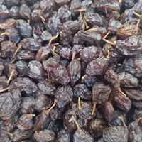 مویز هسته دار ویژه