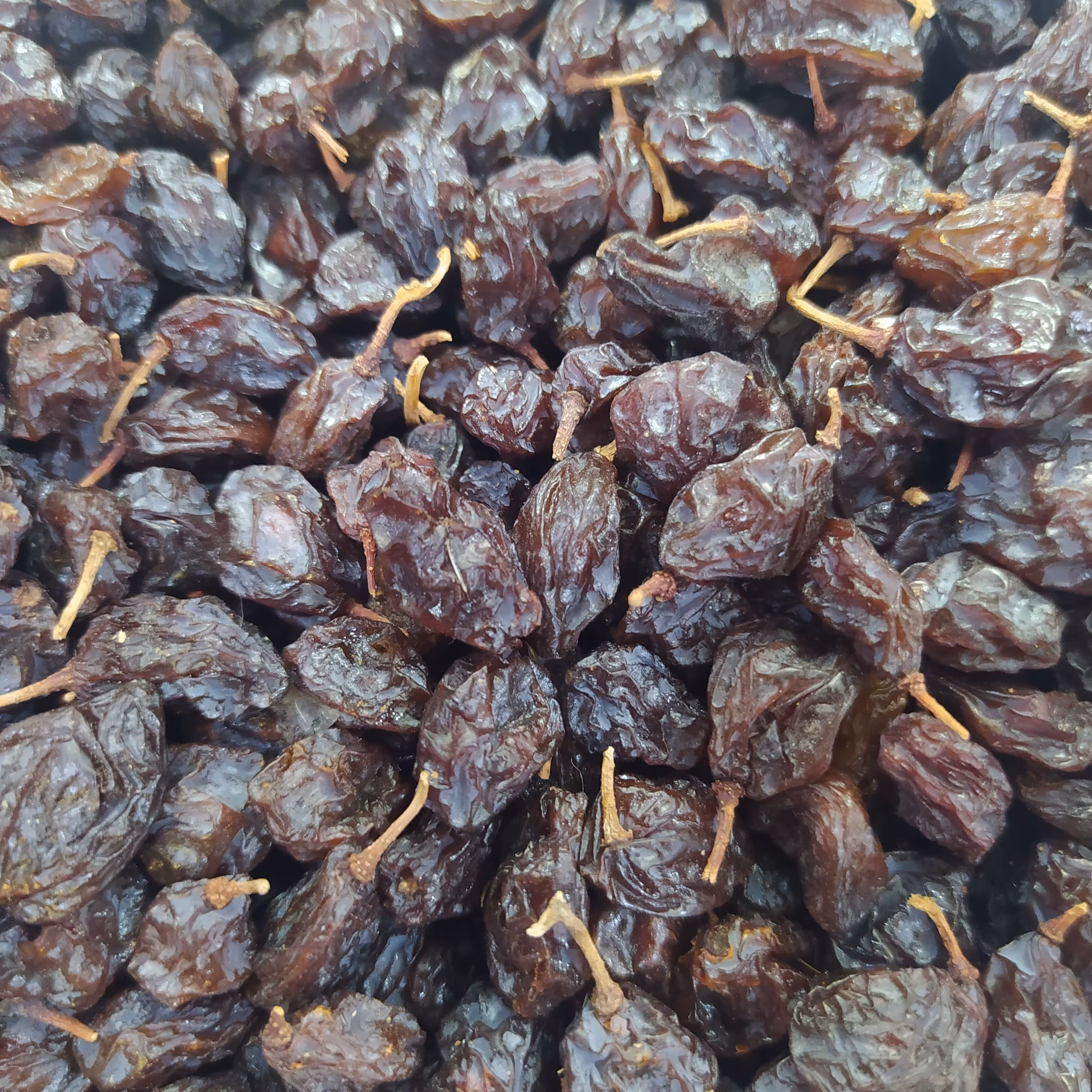 مویز هسته دار ویژه