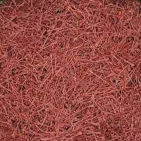 زعفران 30 گرمی ممتاز نگین ضانتی سربلند 