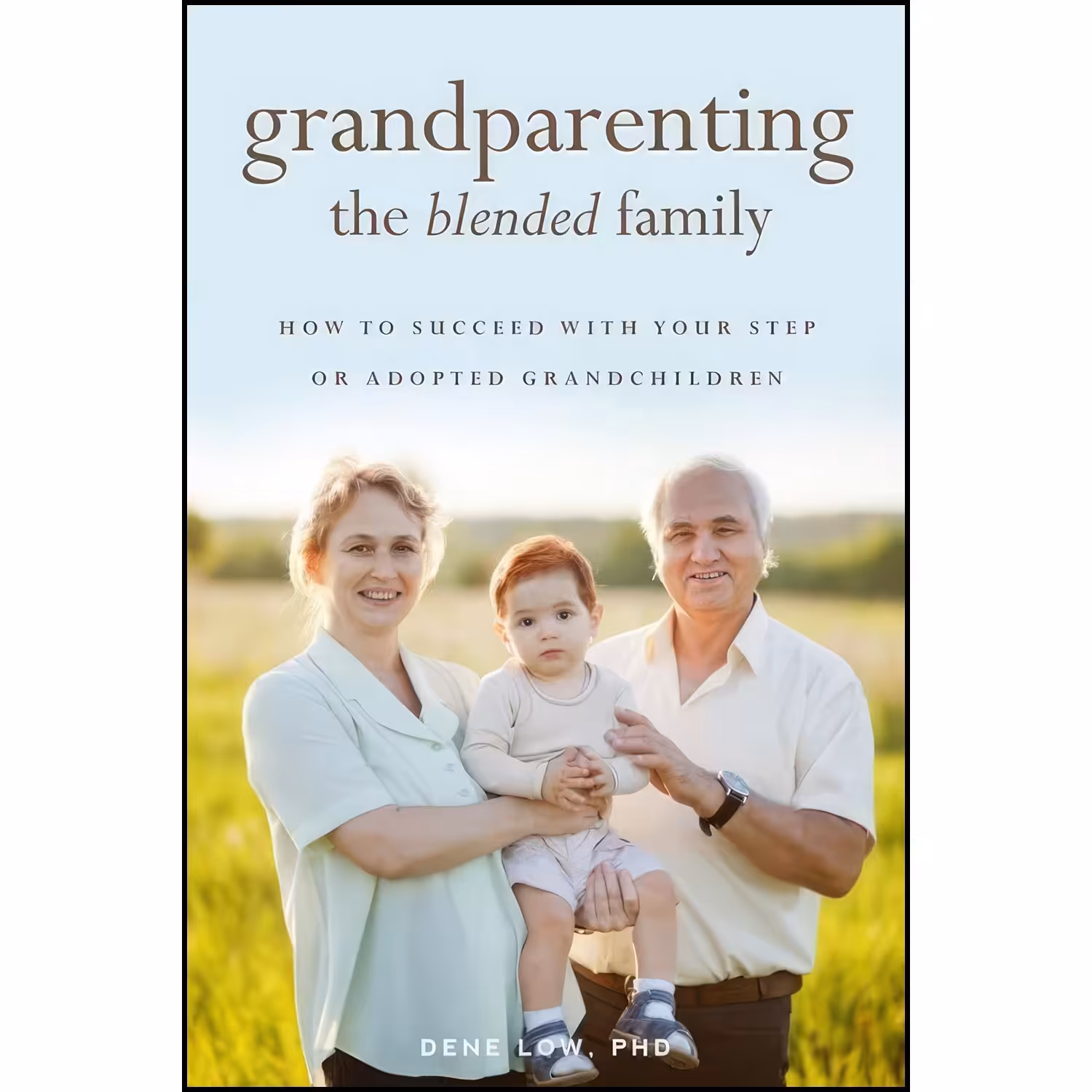 کتاب زبان اصلی Grandparenting the Blended Family اثر Dene Low