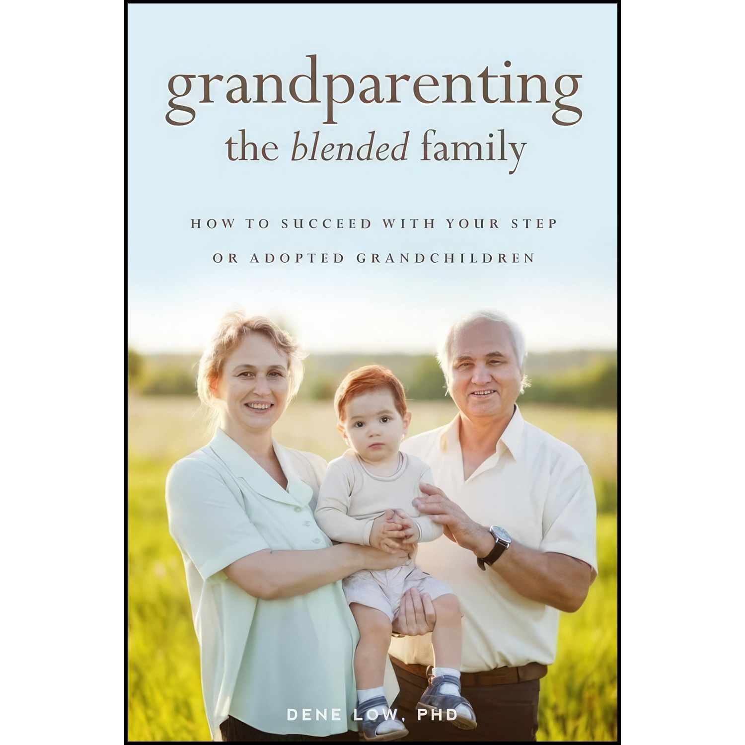 کتاب زبان اصلی Grandparenting the Blended Family اثر Dene Low