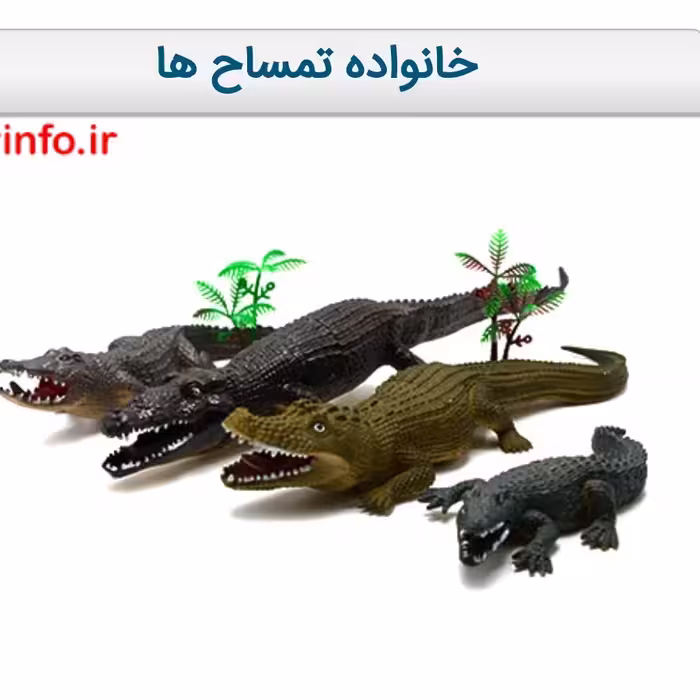 خانواده تمساح ها