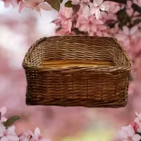 سبد نان حصیری تیناسادات شاپ چهارگوش بزرگ 23در8تضمین کیفی 