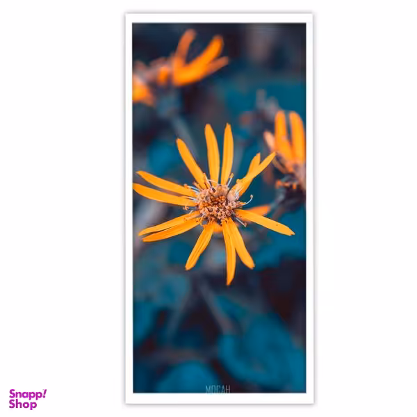 تابلو بکلیت طرح طبیعت عکاسی گل مدل W-S3092