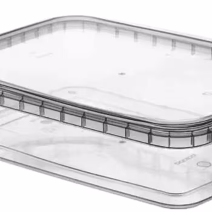 ظرف فریزری یکبار مصرف درب پلمپ سایز 2000سی سی (ارین)(کارتن 40تایی)