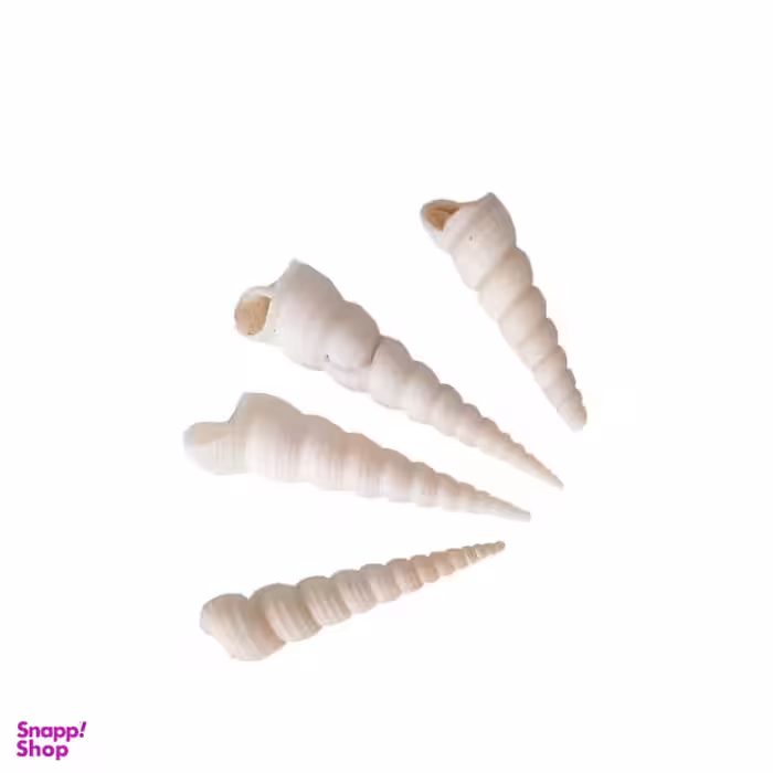 صدف تزئینی کد 4563 مجموعه 4 عددی