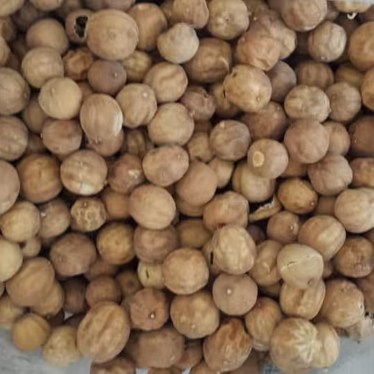 لیمو خشک اعلا