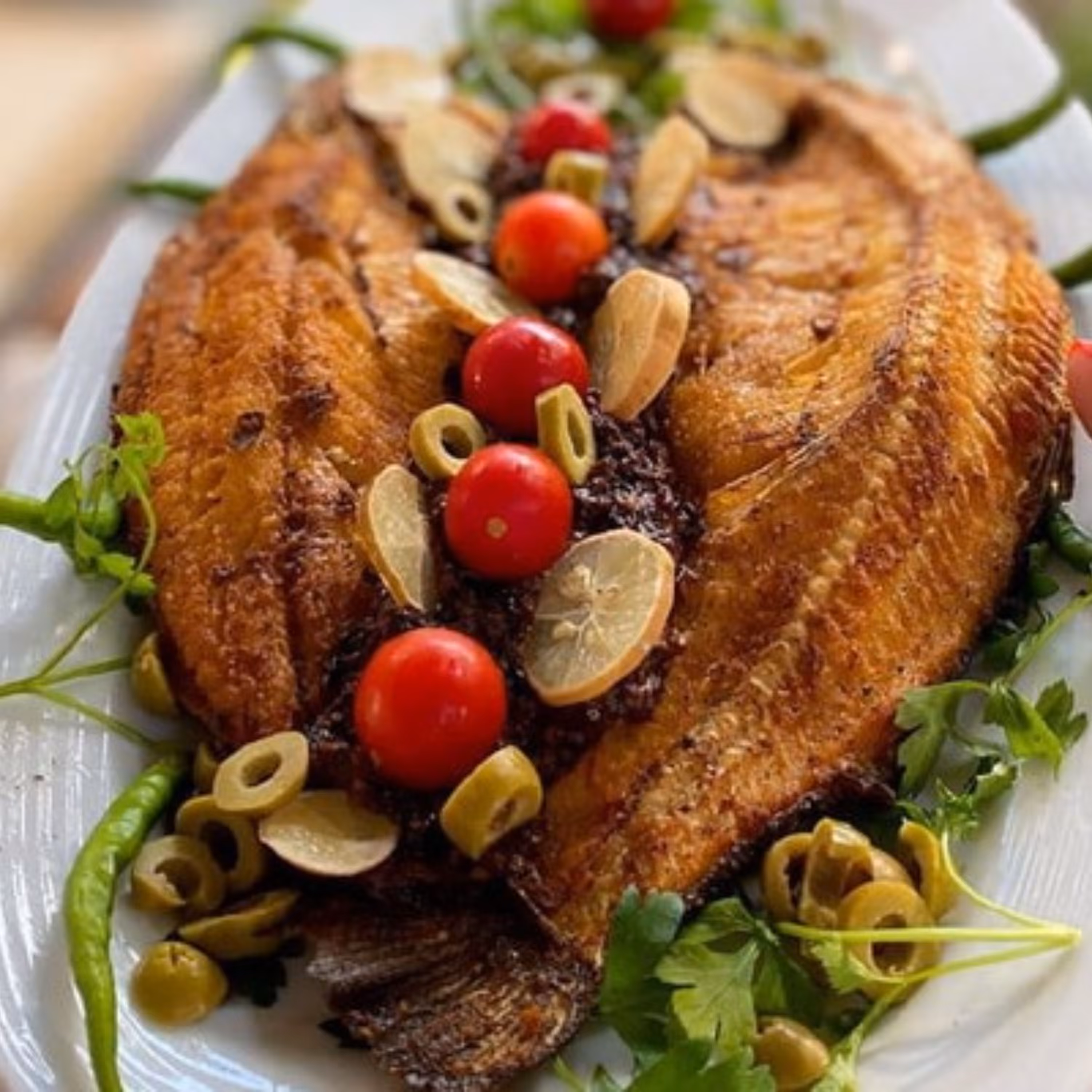 ماهی حسون تازه و صید طبیعی با امکان پاک کردن رایگان 