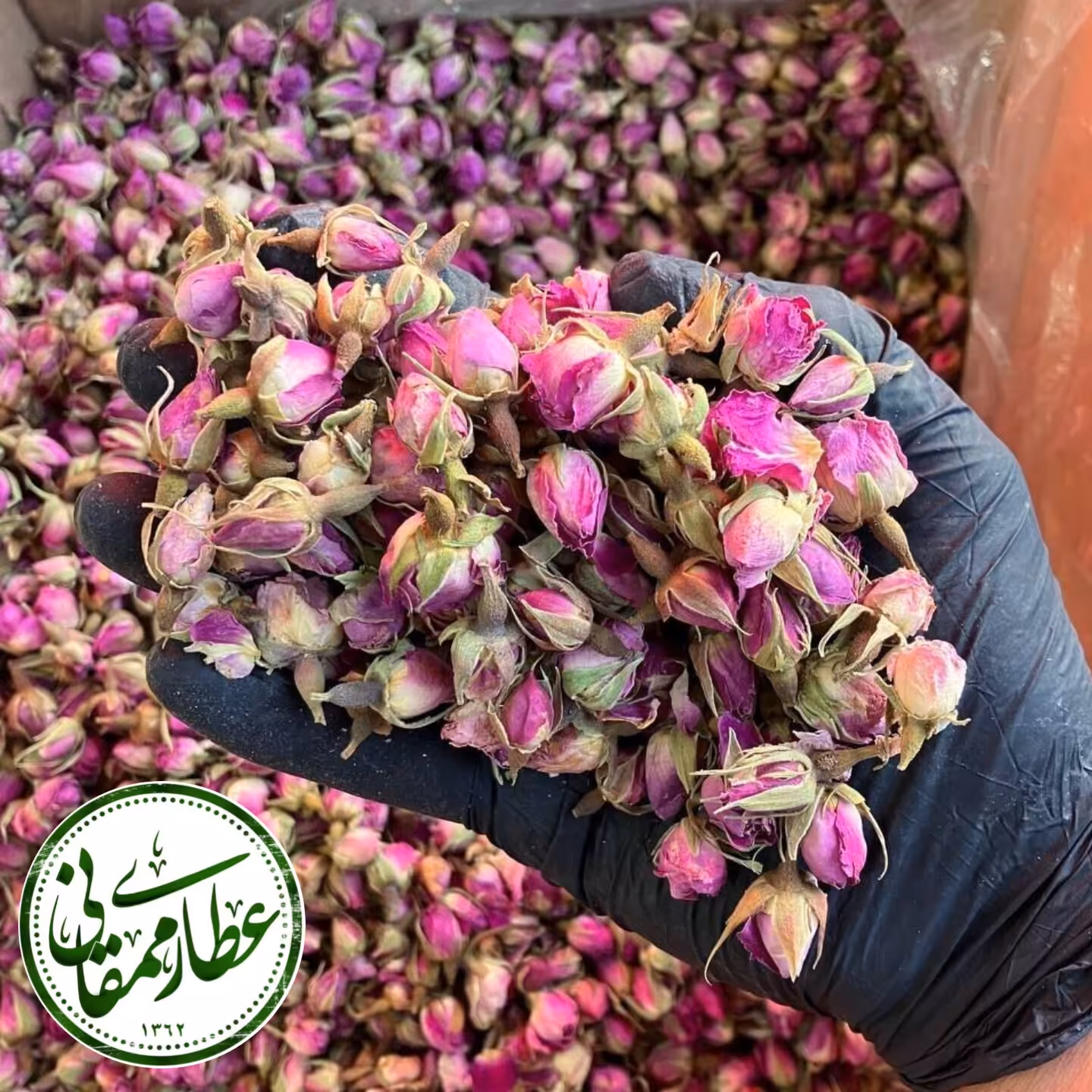 غنچه گل محمدی داراب شیراز  یک کیلوگرم 
