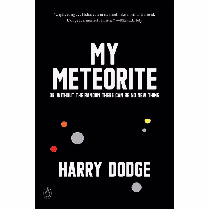کتاب زبان اصلی My Meteorite اثر Harry Dodge انتشارات Penguin Books