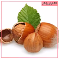 فندق تازه و خوش طعم  ایرانی