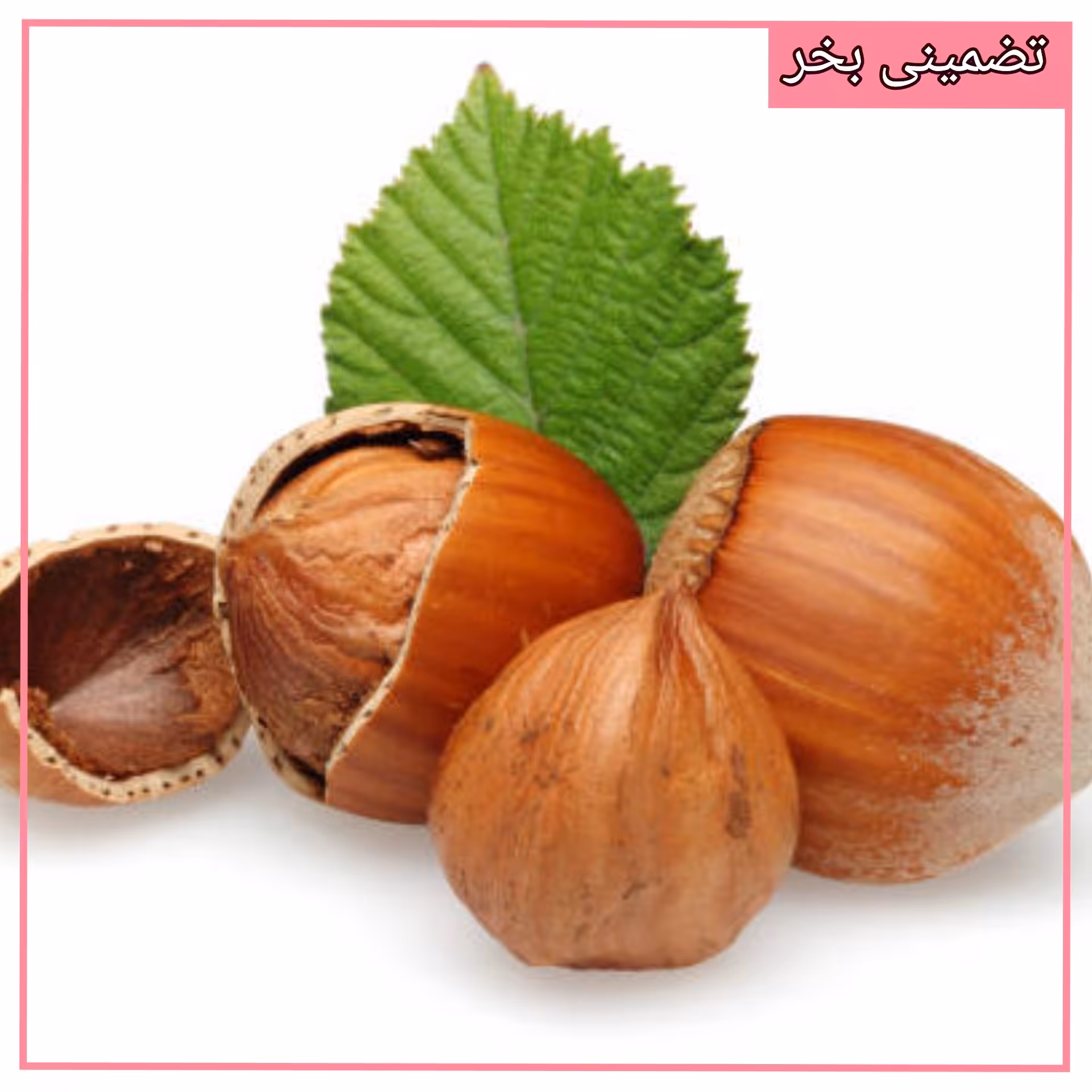 فندق تازه و خوش طعم  ایرانی