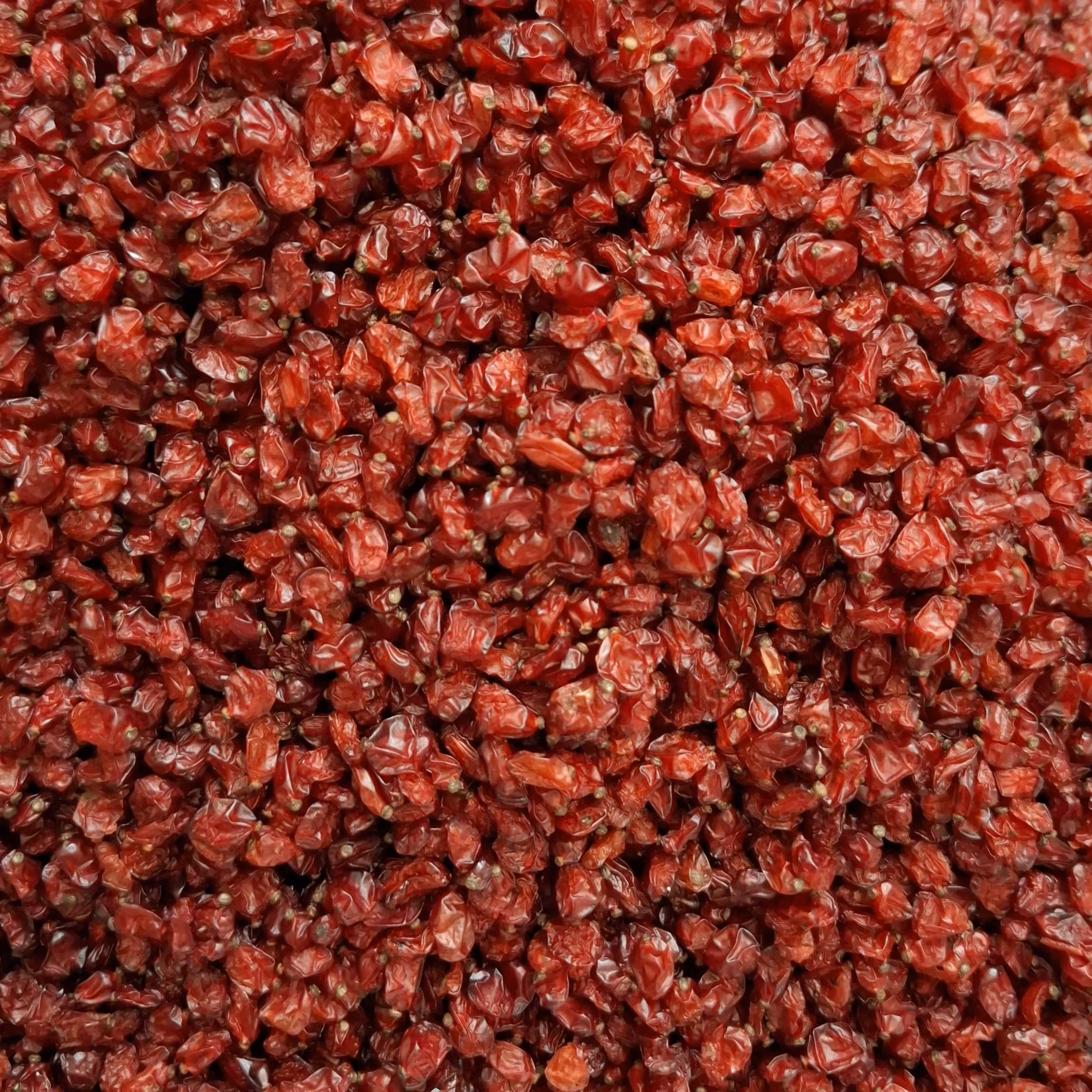 زرشک دانه اناری اعلا،در بسته های نیم کیلویی پاک شده و تمیز