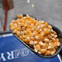 ذرت ( پفیلا )