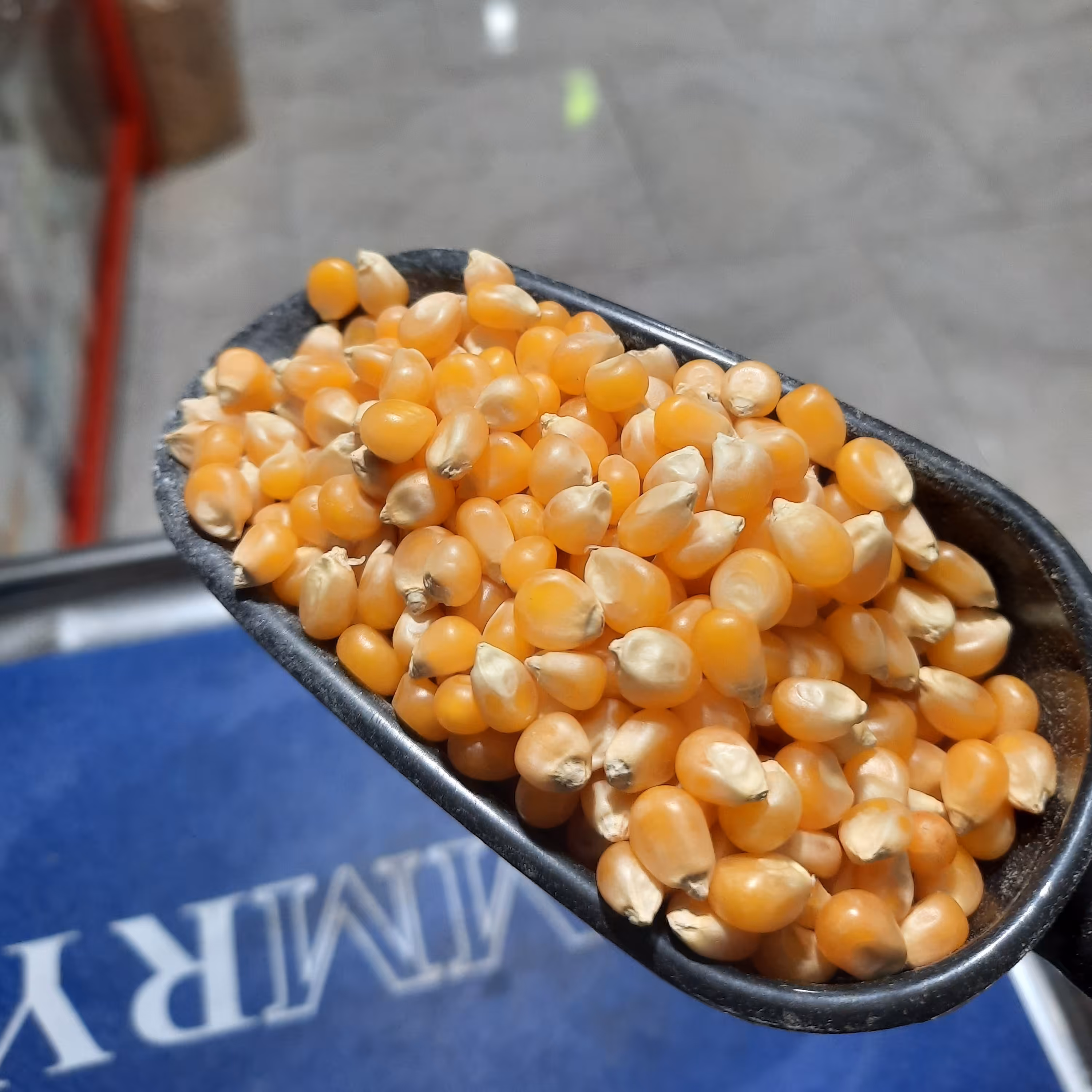 ذرت ( پفیلا )