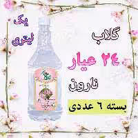 گلاب 24 عیار نارون - بسته 6 عددی