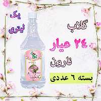 گلاب 24 عیار نارون - بسته 6 عددی