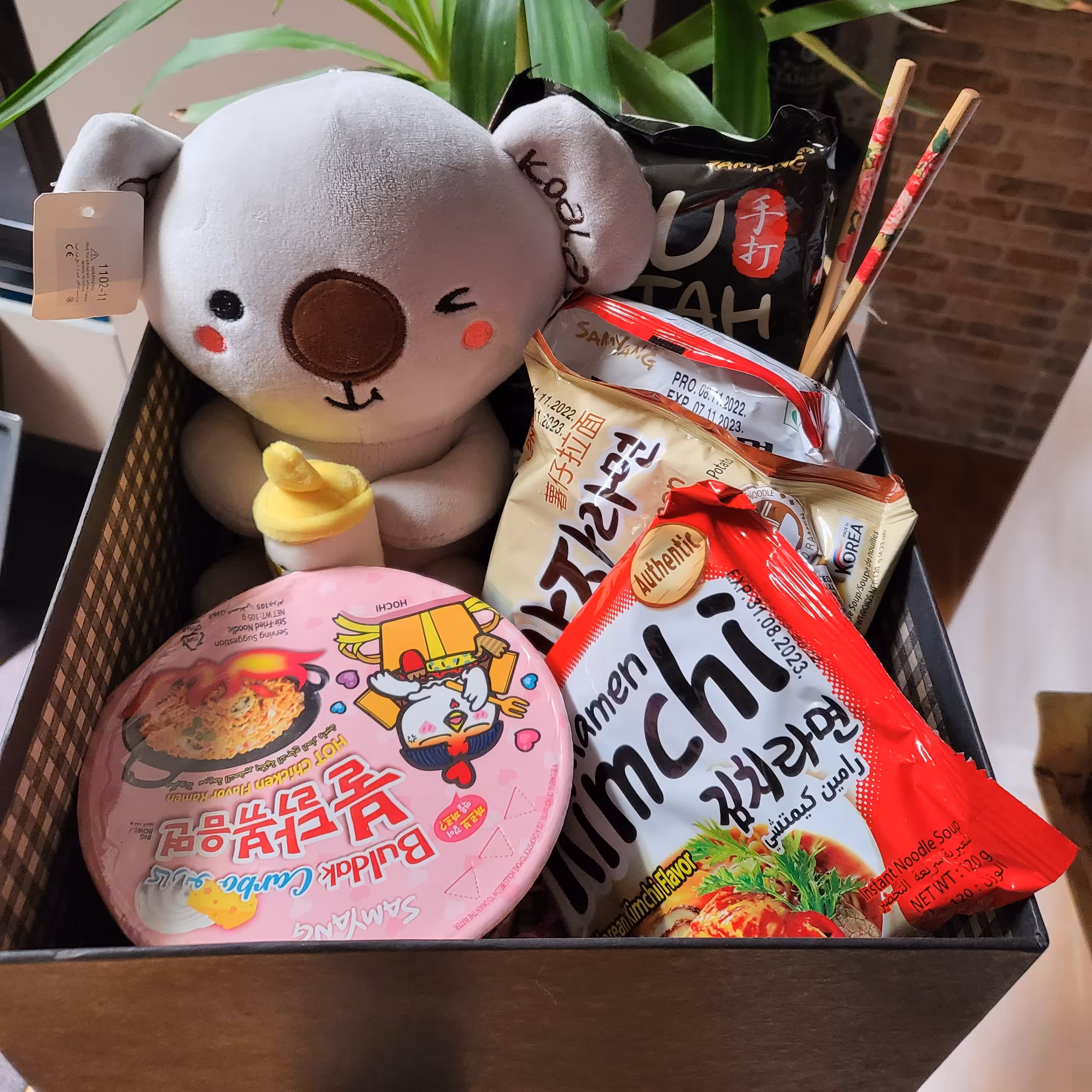 پک هدیه نودل