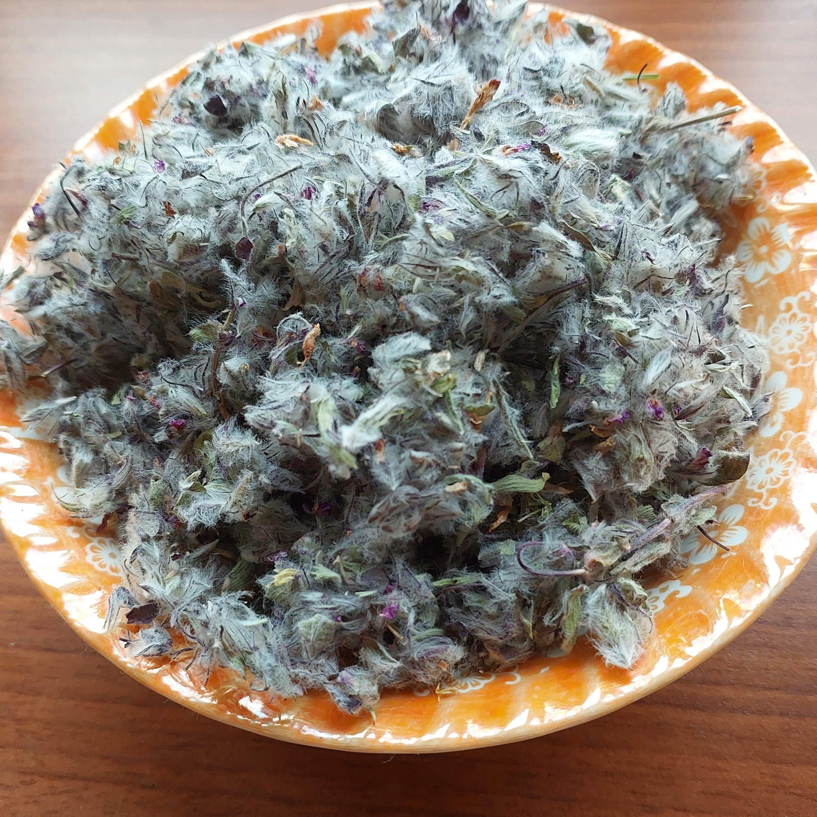 چای کوهی