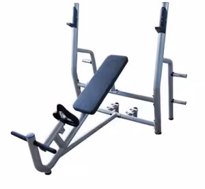 دستگاه بدنسازی بالا سینه تن آرا S169