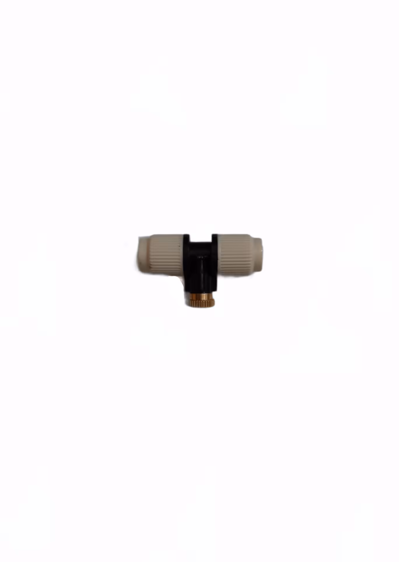 مه پاش تایوانی