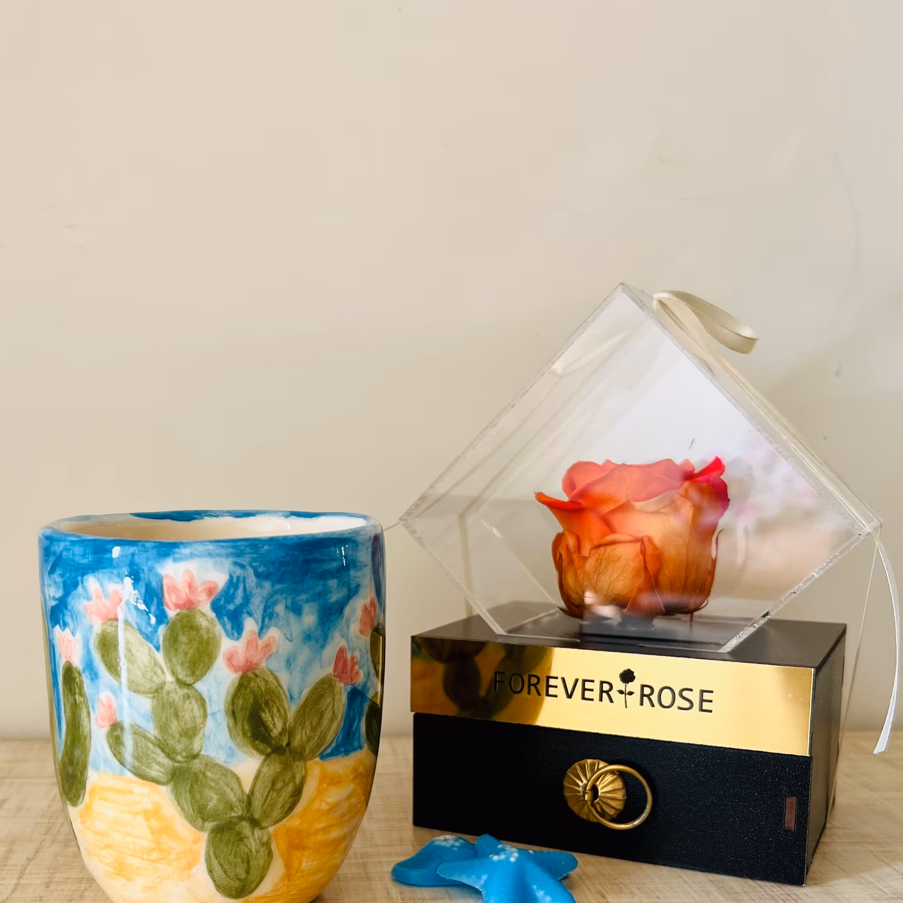 ماگ سرامیکی کاکتوس های بیابانی