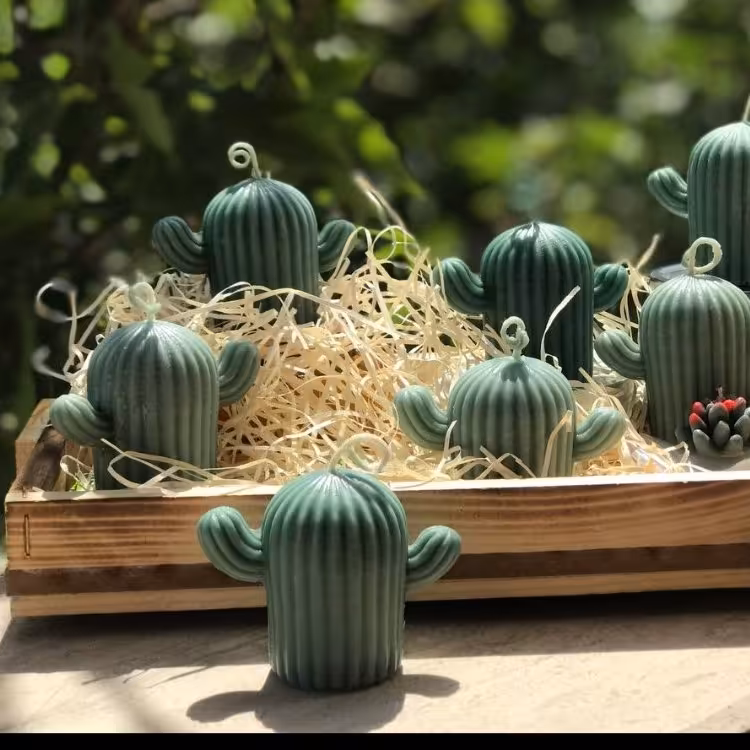 شمع  کاکتوس