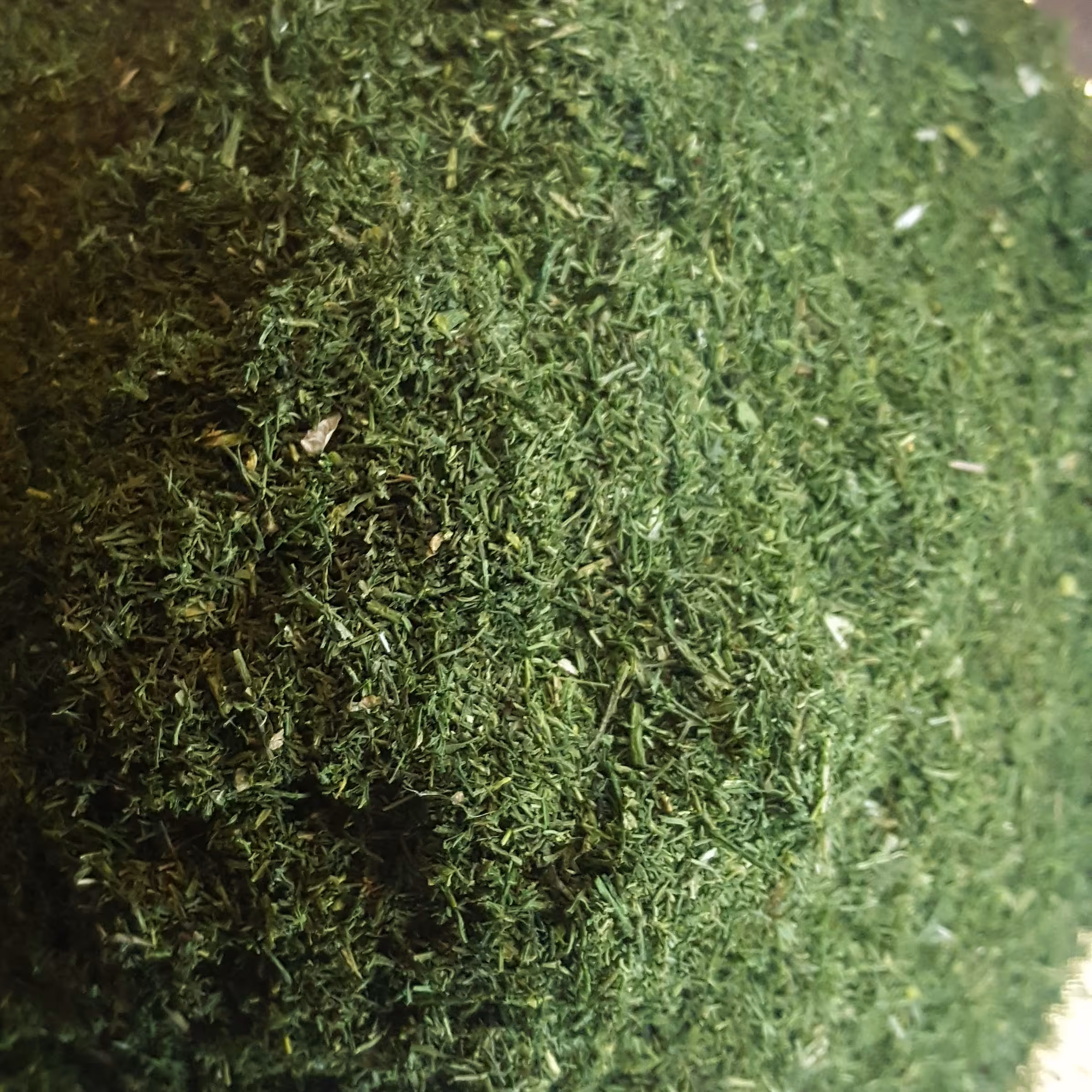  شوید خشک تازه و درجه یک(500گرم)