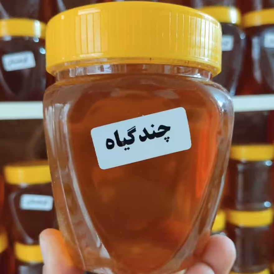 عسل چند گیاه(500گرمی)
