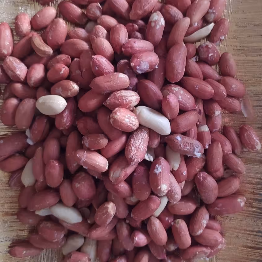 مغز بادام زمینی تازه امسالی  درجه 1