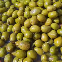 زیتون شکسته شور در بسته های 8 کیلویی