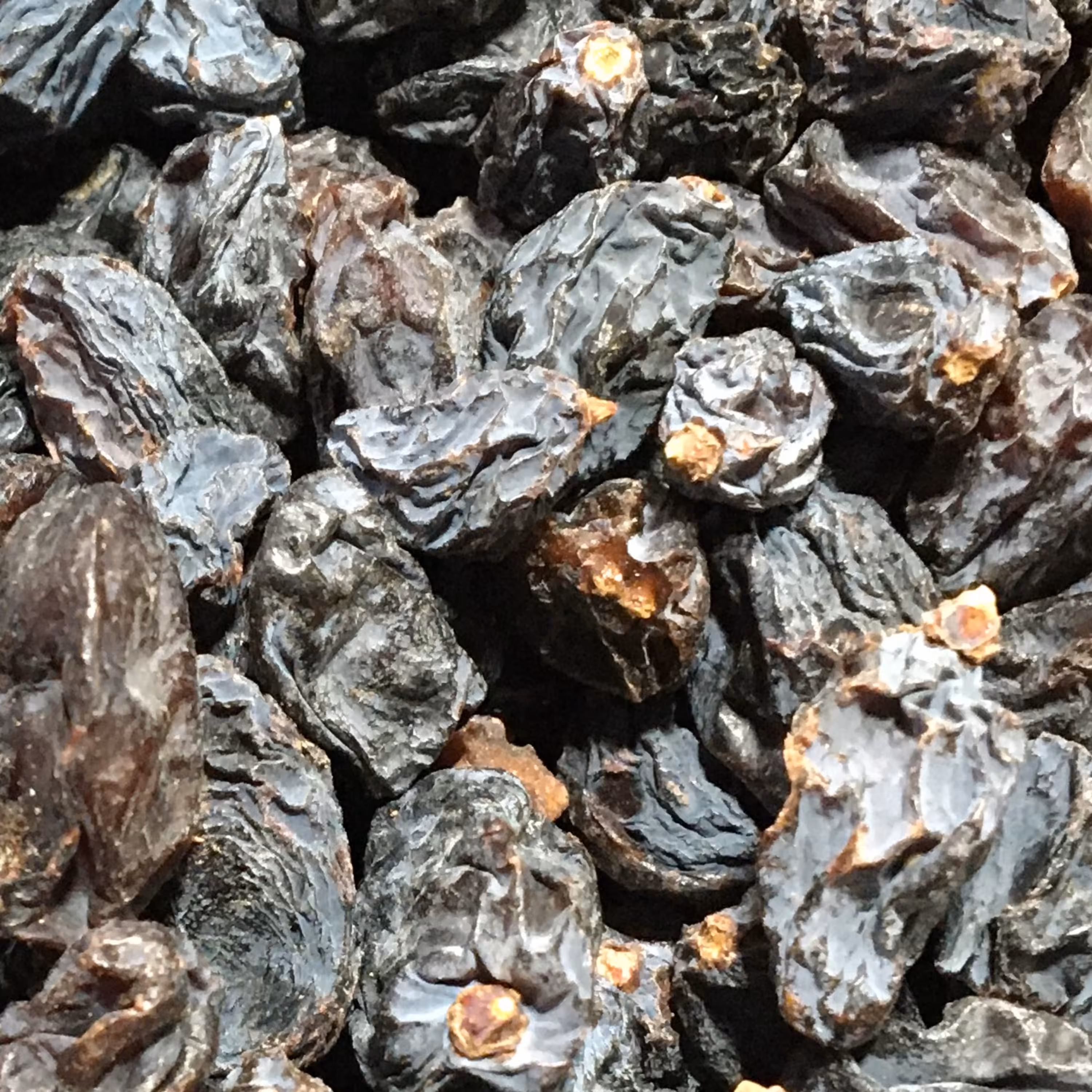 مویز با هسته1000 گرم (آفتاب خشک)