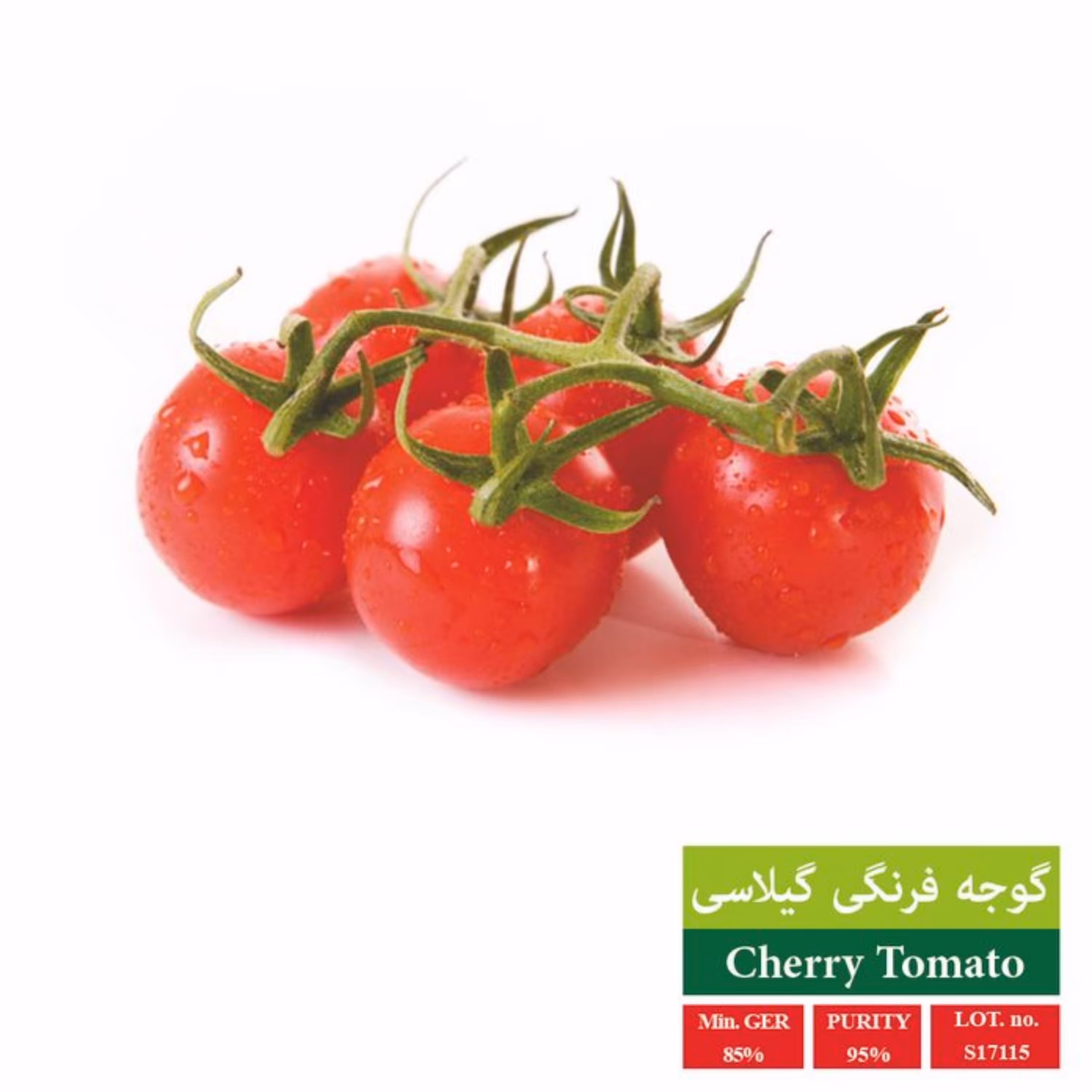 بذر گوجه گیلاسی قرمز بذر طلایی رویان 