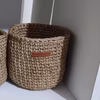 جاسیب زمینی و پیاز