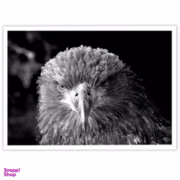 تابلو بکلیت طرح پرنگان شکاری عقاب مدل W-10274