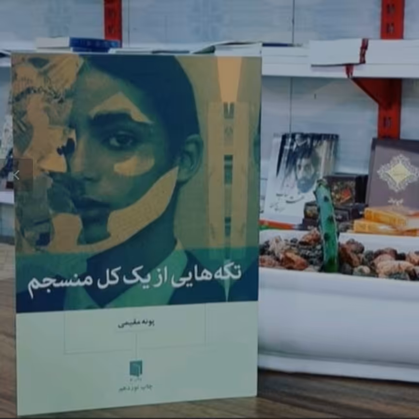 کتاب تکه هایی از یک کل منسجم نویسنده پونه مقیمی