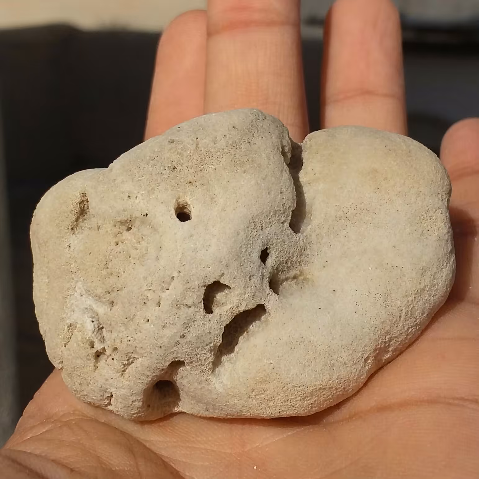 مرجان دریایی محشر دیدنی کاملا طبیعی
مناسب جهت دکور و تزیین دیدنی
کد 10124