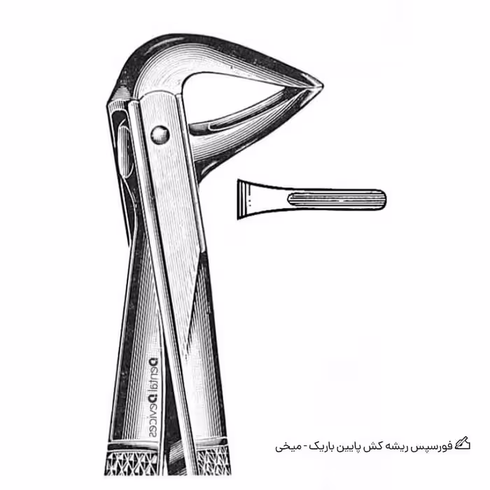 فورسپس ریشه کش پایین باریک – میخی
