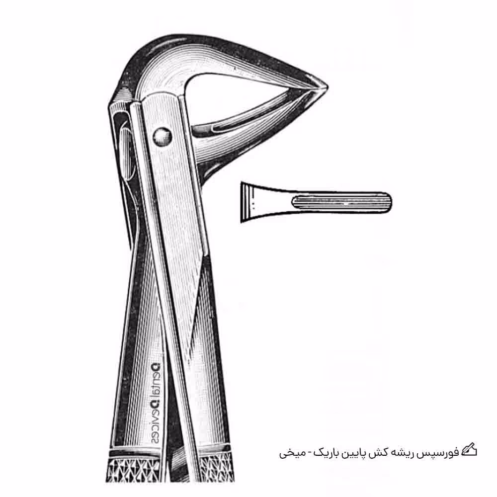 فورسپس ریشه کش پایین باریک – میخی