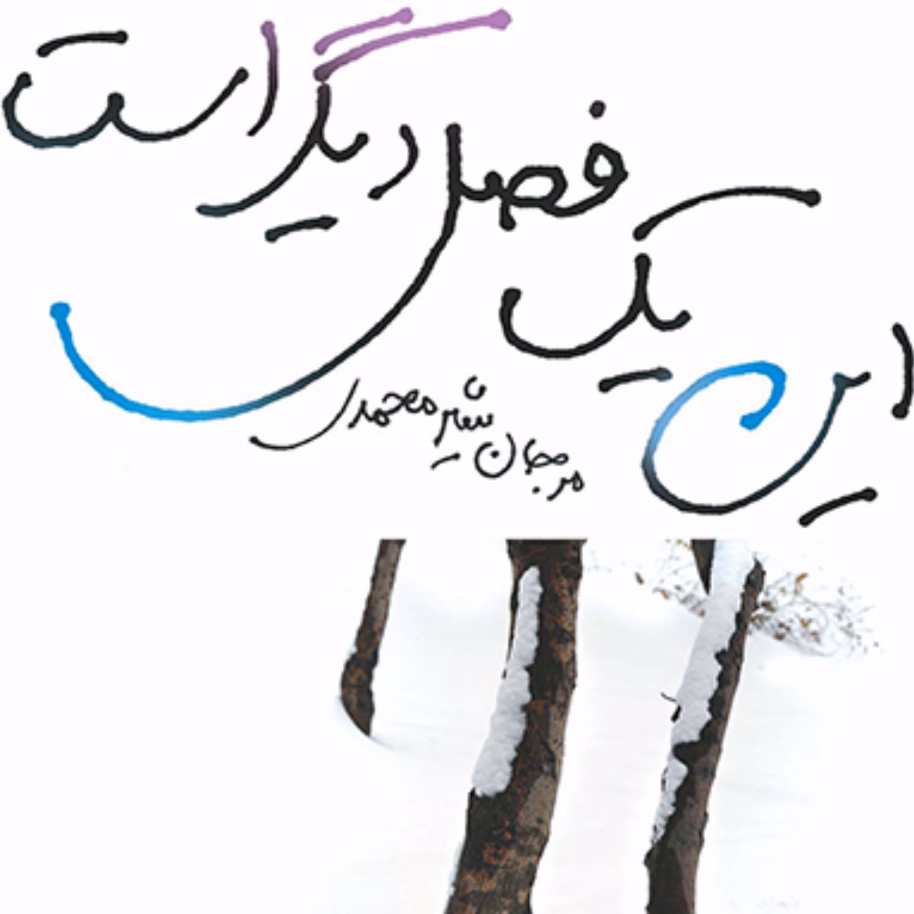 این یک فصل دیگر استThis Is Some Other Seasonمرجان شیرمحمدی رمان نشر مرکز