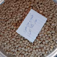 نخود سفید محلی ارگانیک نیم کیلویی چهاردانگه آقبراز محصول 1403