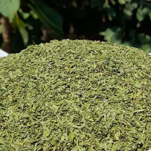 نعنا خشک معطر تازه و امساله 5 ستاره صدرا یک کیلویی فروش ویژه