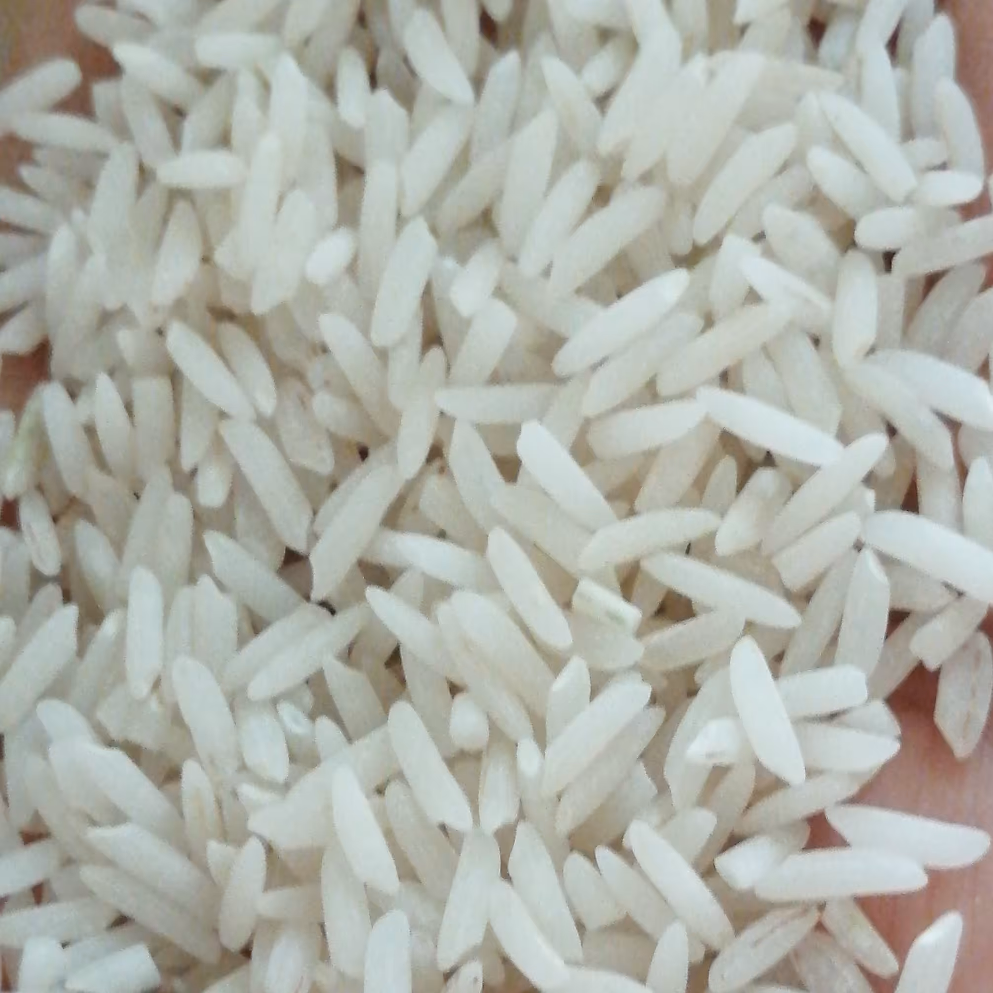 برنج اعلای شمال کشور 10 کیلویی
