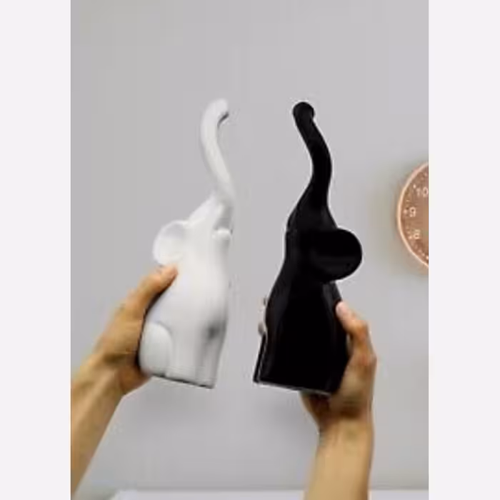 دکوری سرامیکی فیلا