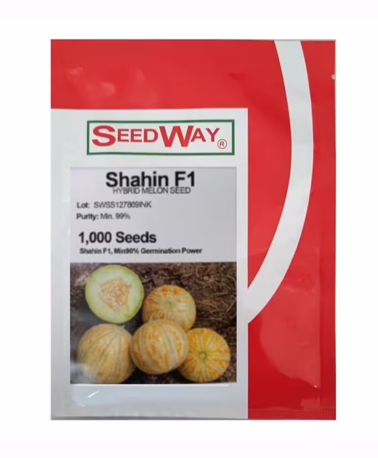 بذر طالبی شاهپسند شاهین