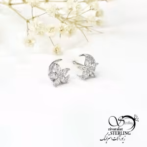 گوشواره میخی نقره کد 6239