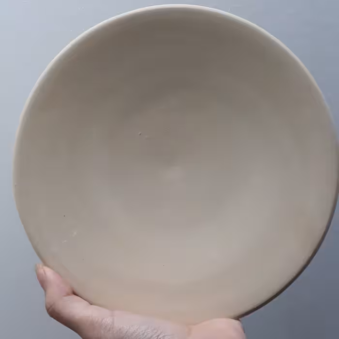 بشقاب سفالی خام