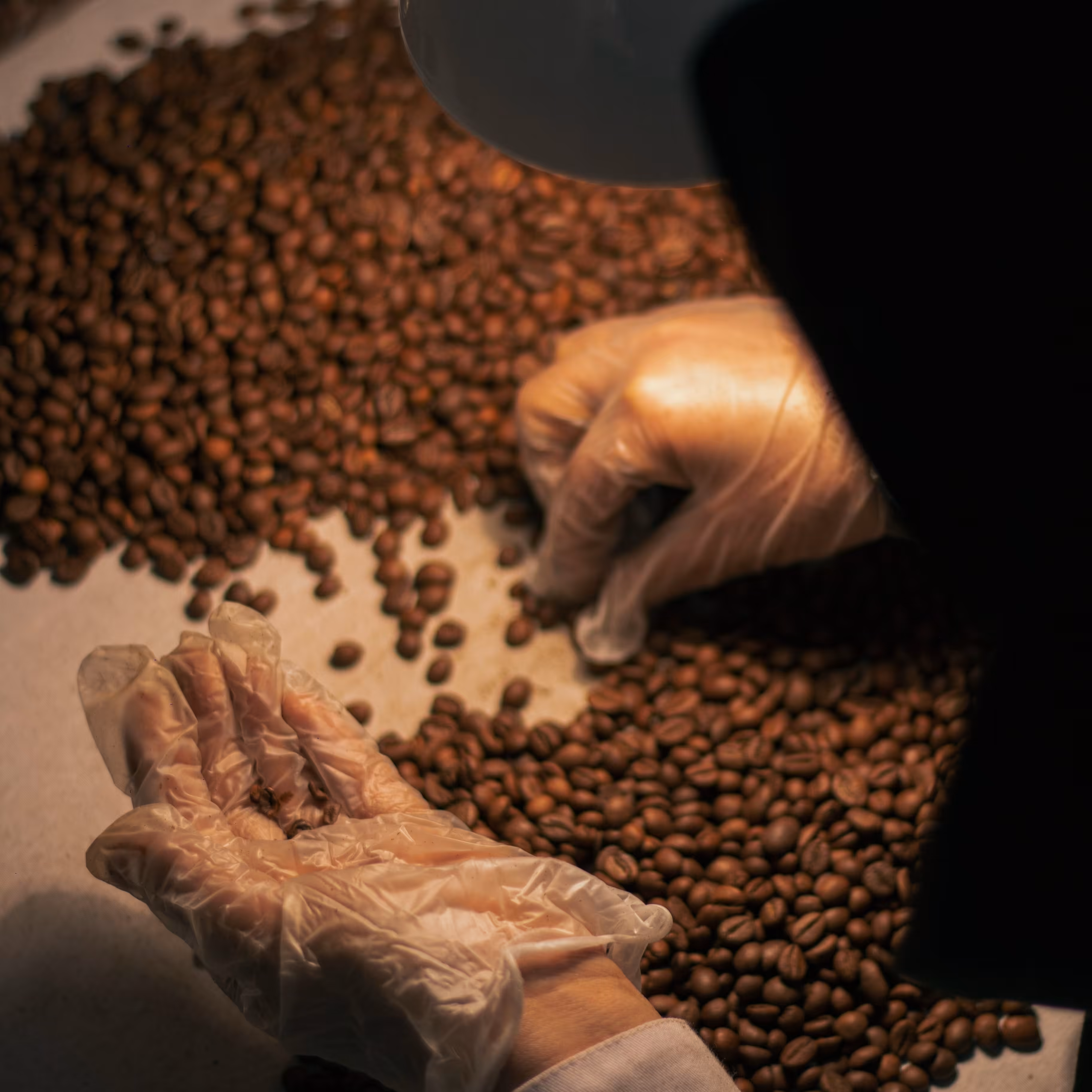 میکس 70عربیکا 30 روباستا آروماتیک ترکیب عربیکا السالوادور و روباستا جاوا