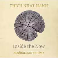 کتاب زبان اصلی Inside the Now اثر Thich Nhat Hanh انتشارات Parallax Press
