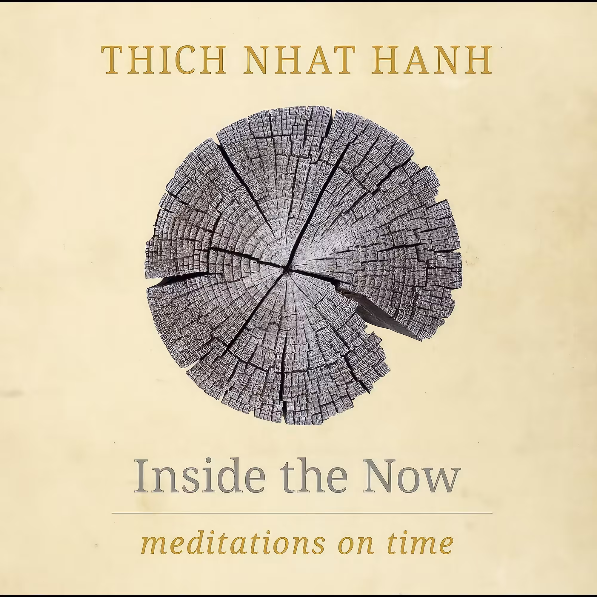 کتاب زبان اصلی Inside the Now اثر Thich Nhat Hanh انتشارات Parallax Press